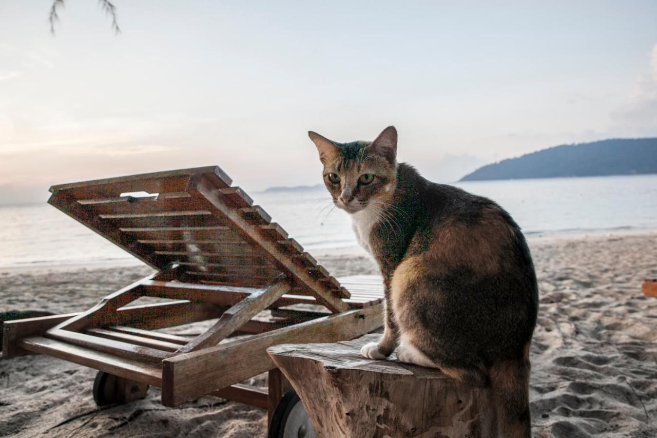 Swiss Cottage Tioman Kampong Ayer Batang Eksteriør bilde